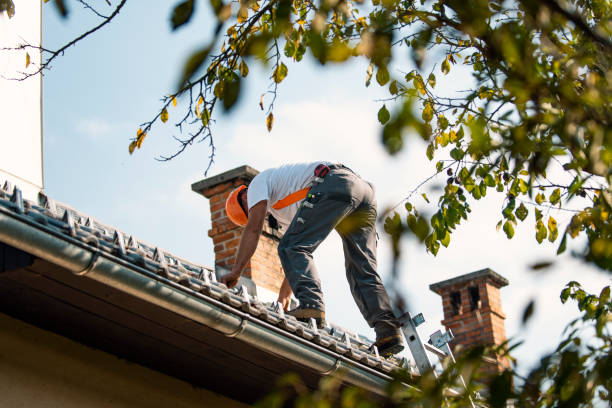 Best Roof Waterproofing Services  in Ocean Park, WA