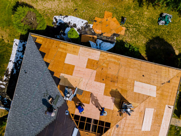 Best Local Roofing Companies  in Ocean Park, WA